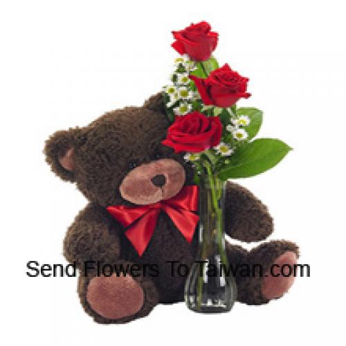 3 Rode Rozen met Prachtige 14 Inch Teddy