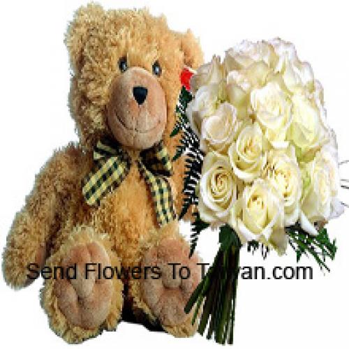 18 Rosas Blancas con Oso de Peluche de 14 Pulgadas