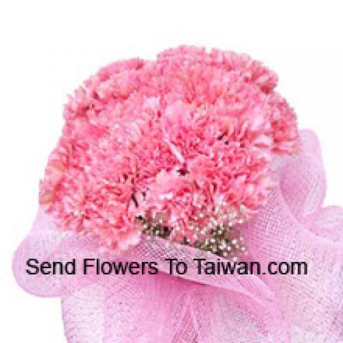 Cute 24 Pink Carnations