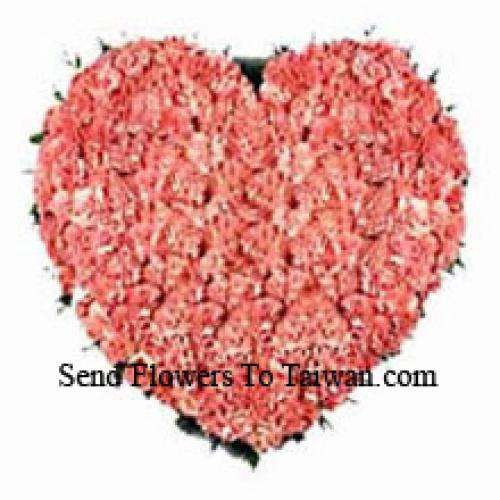 100 Pink Heart Carnations