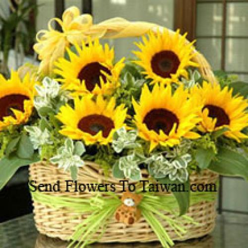 Panier de tournesols ronds