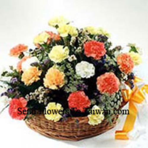 Elegant 24 Mixed Carnations