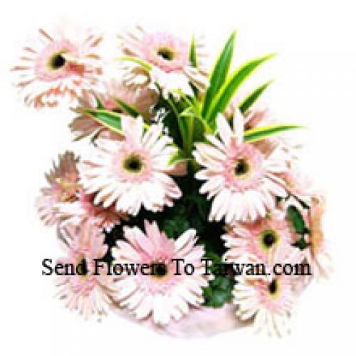 15 Rosa Gerbera Korb